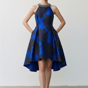 Adrianna Papell Navy and Black Dress